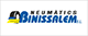 NEUMATICS BINISSALEM SL