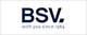 BSV ELECTRONIC SL