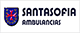 SERVICIOS AUXILIARES SANITARIOS SANTA SOFIA SA