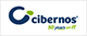 CIBERNOS CONSULTING SA