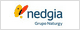 NEDGIA MADRID SA