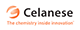 CELANESE SALES IBERICA SL