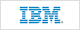 IBM GLOBAL SERVICES ESPAA SA