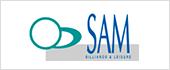 A01028729 - BILLARES SAM SA