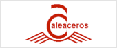 A01175496 - ALEACEROS SA