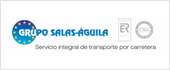 B04213831 - GRUPO SALAS AGUILA SL