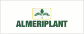 B04241634 - ALMERIPLANT AGRO SL