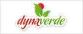 B04290656 - DYNAVERDE SA