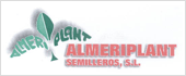 B04339917 - ALMERIPLANT SEMILLEROS SL