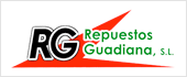 B06133904 - REPUESTOS GUADIANA SL