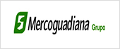 B06159842 - MERCOGUADIANA SL