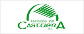 B06210819 - LACTEOS DE CASTUERA SL