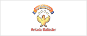 A07270028 - AVICOLA BALLESTER SA