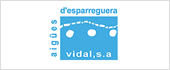 A08112823 - AIGUES DESPARREGUERA VIDAL SA
