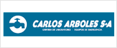 A08866055 - CARLOS ARBOLES SA
