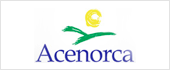 F10020154 - ACENORCA SCL