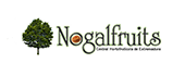 B10339885 - NOGAL FRUITS EXTREMADURA SL