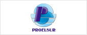 A11373933 - PRO ELECTRONICA SUR SA