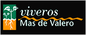 B12423877 - VIVEROS MAS DE VALERO SL