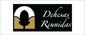 B14657100 - DEHESAS REUNIDAS SL