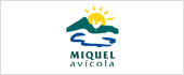 A17408394 - MIQUEL AVICOLA SA