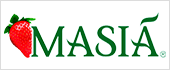 A21101761 - MASIA CISCAR SA