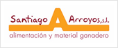 B22196794 - SANTIAGO ARROYOS SL