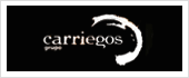 A24014227 - CONSTRUCCIONES CARRIEGOS SA 