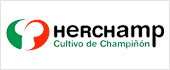 B26220681 - HERCHAMP 2017 SL