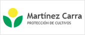 B26310391 - MARTINEZ CARRA SL