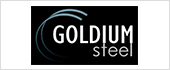 B26491787 - GOLDIUM STEEL SL