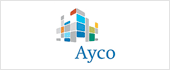 A28004240 - AYCO GRUPO INMOBILIARIO SA