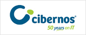 B28182640 - CIBERNOS SL