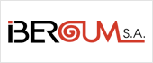 A28502417 - IBERGUM SA
