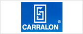 B28543023 - FJ CARRALON SL