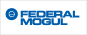 B28798114 - FEDERAL MOGUL IBERICA SL