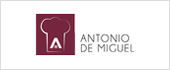 A28893287 - ANTONIO DE MIGUEL SA