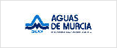 A30054209 - EMPRESA MUNICIPAL DE AGUAS Y SANEAMIENTO DE MURCIA SA