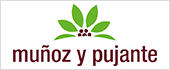 B30075311 - SUCESORES DE MUÑOZ Y PUJANTE SL B30075311 - SUCESORES DE MUÑOZ Y PUJANTE SL