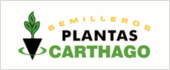 B30496558 - PLANTAS CARTHAGO SL