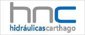B30730782 - HIDRAULICAS CARTHAGO SL