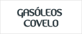 B32222283 - GASOLEOS COVELO SL