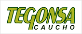 A37002599 - TEODORO GONZALEZ SA