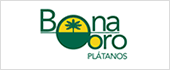B38729778 - BONAORO SL