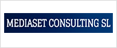 B38771986 - MEDIASET CONSULTING SL 