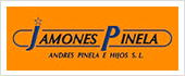 B40132557 - ANDRES PINELA E HIJOS SL