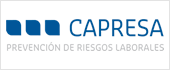 B43506559 - CAPRESA & ASOCIADOS SL