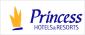 V43635176 - PRINCESS HOTELS AIE