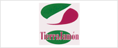 B44151868 - TIERRAJAMON INTERNACIONAL SL 