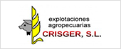 B45064862 - EXPLOTACIONES AGROPECUARIAS CRISGER SL